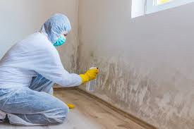 Reliable Wayne City, IL Mold Removal & Remediation Solutions