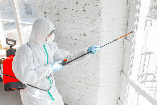 Mold Documentation for Insurance Claims in Wayne City, IL